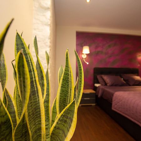 P54 Apartment Paide Kültér fotó