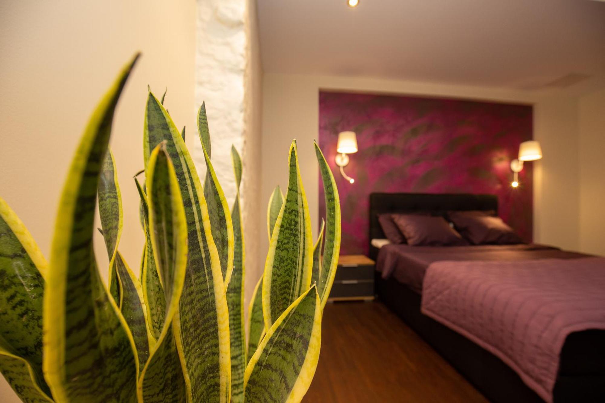 P54 Apartment Paide Kültér fotó